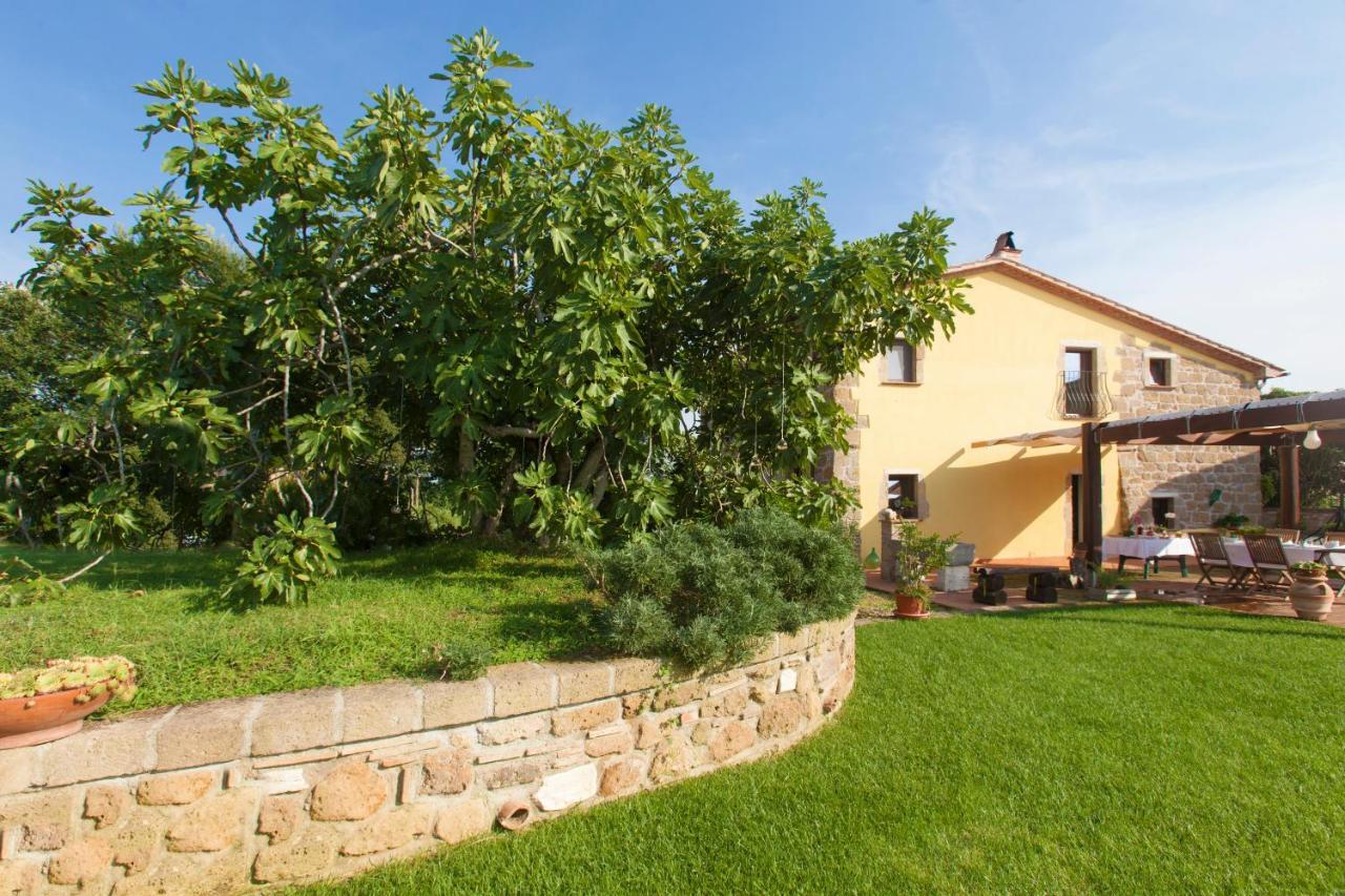 Ficolivo Panzió Pitigliano Kültér fotó